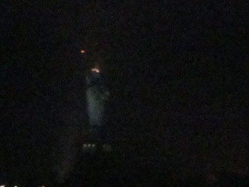 Statue of Liberty 6:05 AM 2/11/12